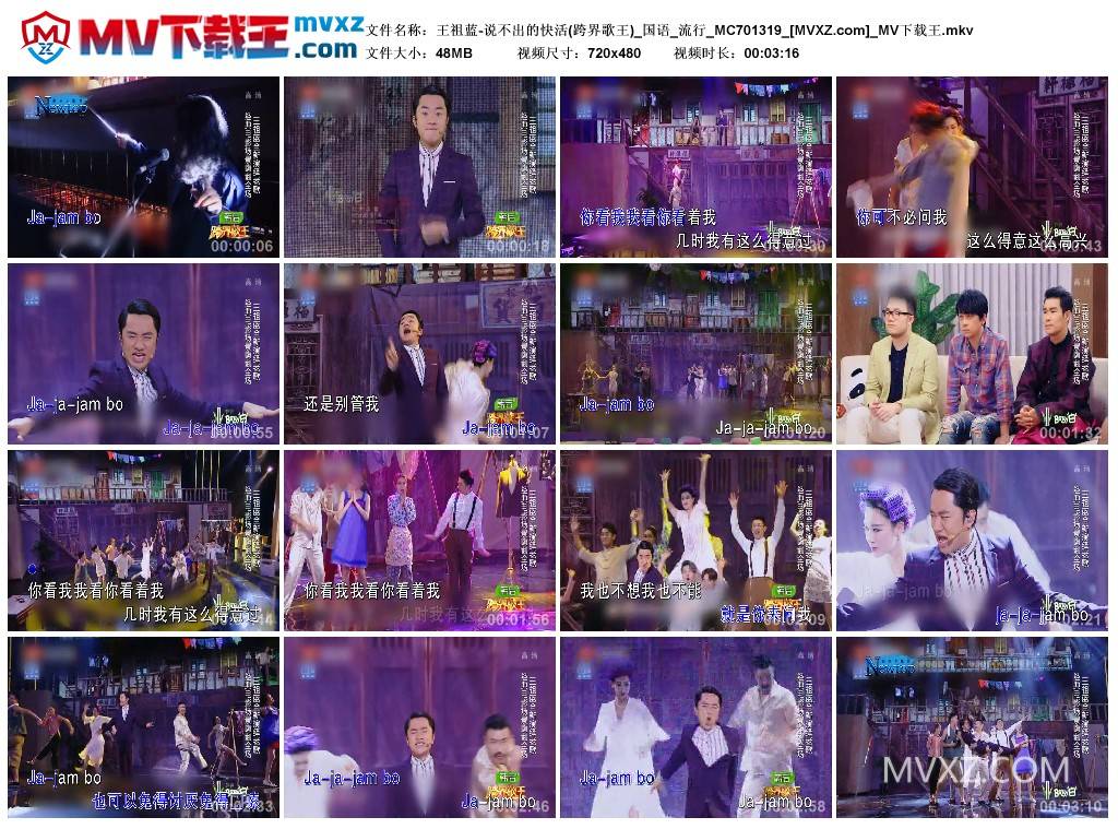 王祖蓝-说不出的快活(跨界歌王)_国语_流行_MC701319